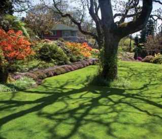 Spring Lawn and Landscape Tips